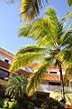 可可椰子14.JPG