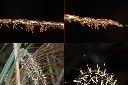 台灣芒-花-實.jpg