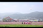 102新社花海039.JPG
