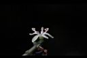 大葉桑榿生-花08.JPG