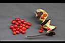 孔雀豆-種實05.jpg