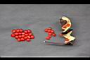 孔雀豆-種實11.jpg