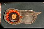 孔雀豆-豆1.jpg