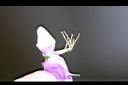 宿根羽扇豆-花蕊0.jpg