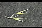 燕麥-實00.jpg