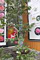 柳葉山茶06.JPG