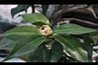 投入春天05.JPG
