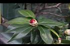 投入春天06.JPG