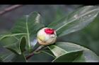 投入春天09.JPG