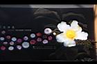 茶花文圖01.JPG