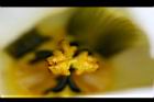 木虌子-花蕊.jpg