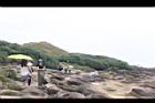 林投29.JPG