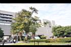 楓港柿09.JPG