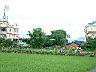 稻田14.JPG