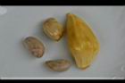 波羅蜜-種子03.jpg