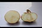 洋蔥-鱗莖-橫縱00.JPG