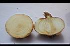 洋蔥-鱗莖-橫縱04.JPG