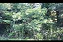 海州常山04.jpg