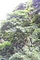 海州常山01.jpg