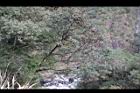 火燒柯06.JPG