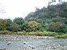 無患子920104-3.jpg