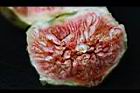 無花果-果肉05.jpg