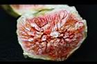 無花果-果肉06.jpg