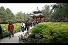 牡丹-園16.JPG