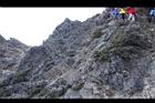 玉山圓柏030.jpg