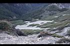 玉山圓柏034.jpg