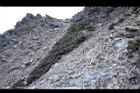 玉山圓柏038.jpg
