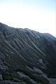 玉山圓柏045.jpg