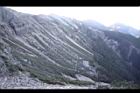 玉山圓柏049.jpg