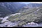玉山圓柏056.jpg
