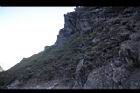 玉山圓柏058.jpg