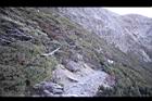 玉山圓柏065.JPG