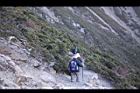 玉山圓柏078.JPG