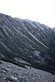 玉山圓柏083.JPG
