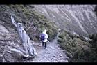 玉山圓柏089.JPG