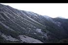 玉山圓柏095.JPG