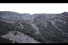 玉山圓柏121.JPG