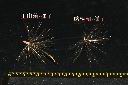 玉山薊-種子08.JPG