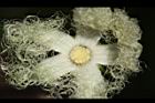 王瓜-雌花07.JPG