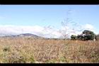 田菁15.JPG