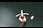 疏花魚藤-花17.jpg