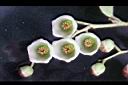 白珠樹-花蕊4.jpg