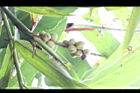 益智-實01.jpg