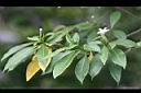 真山馬茶9.jpg