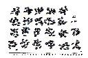 石月-種子08.JPG