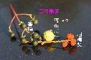 破布烏-蟲癭13.jpg